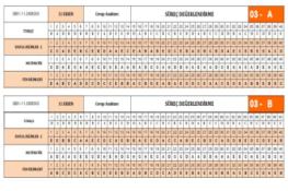 11-12.Sınıf Deneme Sınavı Cevap Anahtarı (07.02.2026)